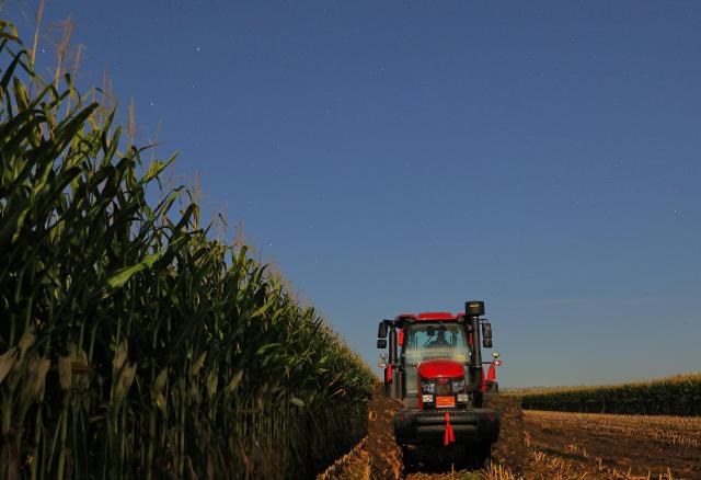 (260923) -- HARBIN, Sept. 23, 2026 (Xinhua) -- This photo taken on Sept. 21, 2026 shows agricultural machinery in a corn field under starry sky in Baiquan County, northeast China's Heilongjiang Province. (Photo by Lyu Shuxin/Xinhua)