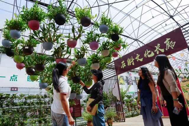 (260923) -- BAOSHAN, Sept. 23, 2026 (Xinhua) -- Tourists admire dendrobium bonsai at a trading and exhibition center in Longling County of Baoshan City, southwest China's Yunnan Province, Sept. 22, 2026. In recent years, Baoshan City has developed distinctive industries such as homestays, camping, dendrobium cultivation and tea. The city is leveraging ecological tourism and cultural resources to advance rural revitalization, injecting new vitality into the high-quality development of its cultural and tourism industries. (Photo by Di Tingxiu/Xinhua)