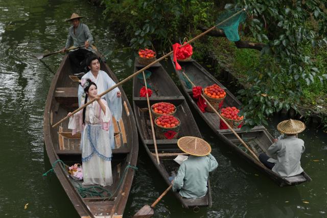 (260923) -- HANGZHOU, Sept. 23, 2026 (Xinhua) -- A tourist dressed in traditional Chinese costumes picks persimmons on a boat during persimmon-themed activities held at the Xixi National Wetland Park in Hangzhou, east China's Zhejiang Province, Sept. 23, 2026. A series of persimmon-themed activities kicked off on Wednesday at the Xixi National Wetland Park, during which people have the chance to pick and taste persimmons from over 7,000 trees in the park. (Xinhua/Huang Zongzhi)