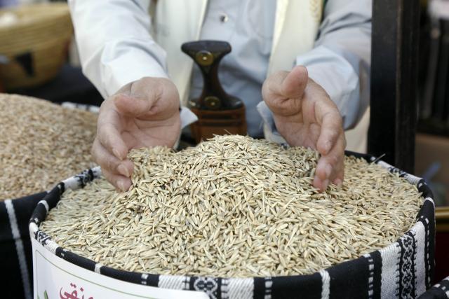 (260924) -- SANAA, Sept. 24, 2026 (Xinhua) -- A grain seller prepares his products for sale during a fair in Sanaa, Yemen, Sept. 24, 2026. A fair named The Fertile Land promoting local grain products was launched in Sanaa recently to foster a culture of reliance on national goods and boost domestic agricultural marketing. (Photo by Mohammed Mohammed/Xinhua)