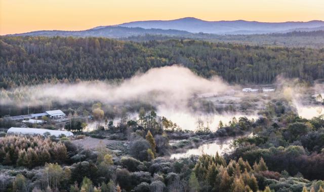 (260925) -- YICHUN, Sept. 25, 2026 (Xinhua) -- An aerial drone photo taken on Sept. 24, 2026 shows the autumn scenery of Tangwang County in Yichun, northeast China's Heilongjiang Province. (Photo by Li Shaojun/Xinhua)