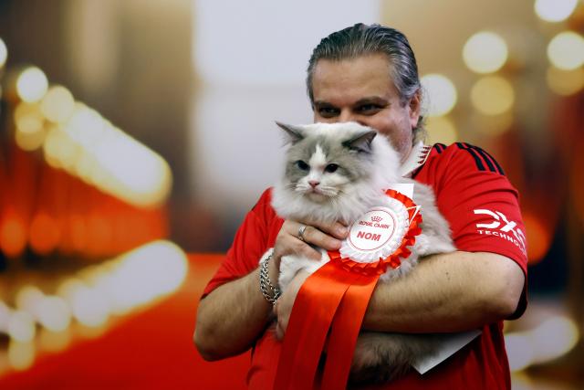(260926) -- BUCHAREST, Sept. 26, 2026 (Xinhua) -- An owner poses with his cat during the Sofisticat Autumn International Catshow at Palace Hall in Bucharest, Romania, Sept. 26, 2026. About 200 cats of around 30 breeds participate in the two-day feline beauty contest. (Photo by Cristian Cristel/Xinhua)