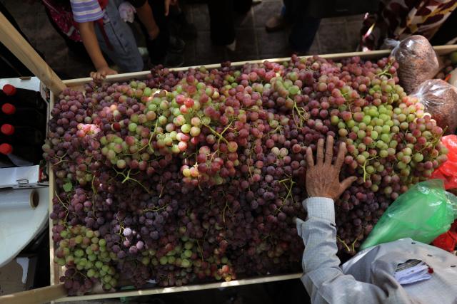 (260927) -- HEBRON, Sept. 27, 2026 (Xinhua) -- Palestinians attend an annual grapes festival in the West Bank city of Hebron, Sept. 26, 2026. (Photo by Mamoun Wazwaz/Xinhua)