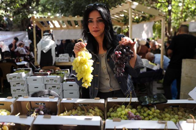 (260927) -- HEBRON, Sept. 27, 2026 (Xinhua) -- Palestinians attend an annual grapes festival in the West Bank city of Hebron, Sept. 26, 2026. (Photo by Mamoun Wazwaz/Xinhua)