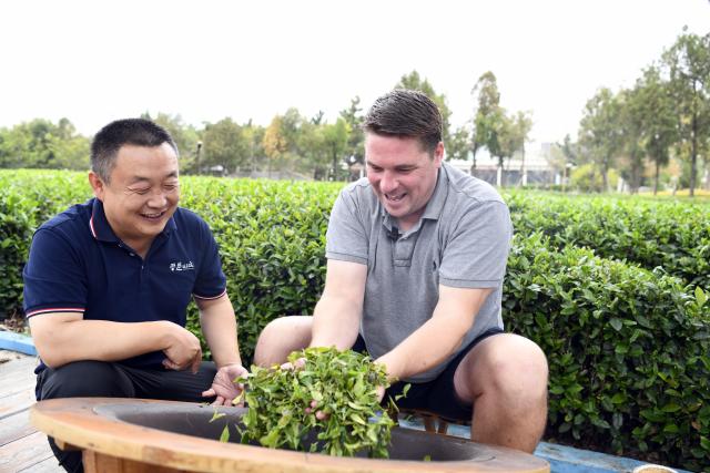 (260928) -- RIZHAO, Sept. 28, 2026 (Xinhua) -- Ryan Norman (R) experiences roasting tea leaves at a tea culture and tourism park in Rizhao, east China's Shandong Province, Sept. 24, 2026.
  Ryan Norman, from the U.S. state of California, has lived in Rizhao for 20 years. He married a Chinese woman and regards Rizhao as his second home. For more than three years, he has been sharing daily life in the city through short videos. His videos have attracted more than 5 million followers across social media platforms, earning him the nickname "Lei Ge," or "Brother Lei," among Chinese netizens.
  Beyond his work on social media, Norman runs several businesses, including a cafe and a chicken restaurant. He is also a fan of both Sichuan and Shandong cuisines and especially loves spicy food, joking that he has developed a "Chinese stomach."
  For Norman, the opportunities brought by China's development and the warmth he finds in everyday life are key reasons he has chosen to stay. He hopes to use his videos and personal experience to help foster greater understanding and friendship between people in China and the United States.
  In Norman's view, the Chinese market is a large platform, and the rapid development of China's economy has brought tremendous opportunities to merchants and enterprises all over the world. (Xinhua/Guo Xulei)