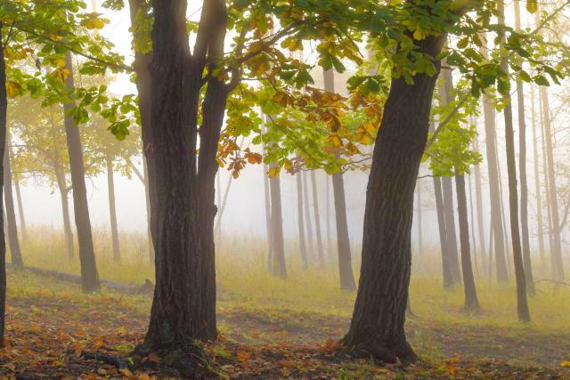 (260928) -- HARBIN, Sept. 28, 2026 (Xinhua) -- This photo taken on Sept. 27, 2026 shows the autumn scenery in Baiquan County, northeast China's Heilongjiang Province. In autumn, Heilongjiang Province is filled with vibrant colors. Mountains, forests and waters form a picturesque landscape, showcasing the beauty of autumn in northeastern China. (Photo by Wang Yonggang/Xinhua)