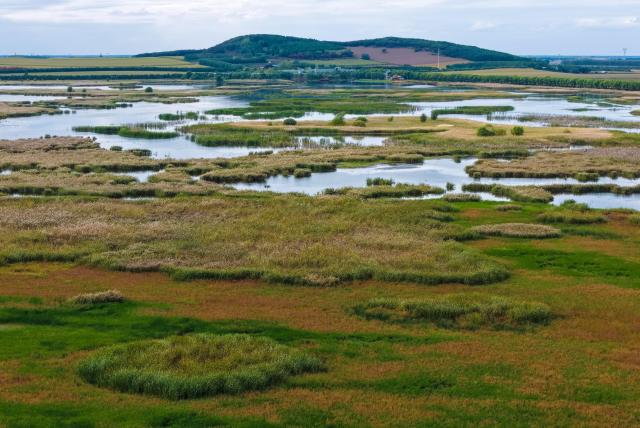 (260928) -- HARBIN, Sept. 28, 2026 (Xinhua) -- A drone photo taken on Sept. 26, 2026 shows the autumn scenery of Fujin National Wetland Park in Jiamusi City, northeast China's Heilongjiang Province. In autumn, Heilongjiang Province is filled with vibrant colors. Mountains, forests and waters form a picturesque landscape, showcasing the beauty of autumn in northeastern China. (Photo by Geng Xiqing/Xinhua)