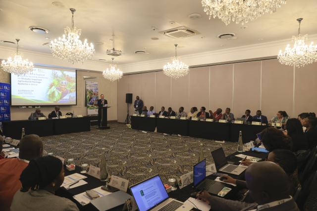 (260928) -- JOHANNESBURG, Sept. 28, 2026 (Xinhua) -- This photo taken on Sept. 28, 2026 shows a scene at the regional capacity-building workshop on Globally Important Agricultural Heritage Systems (GIAHS) in Africa, in Johannesburg, South Africa. TO GO WITH "FAO-China workshop on agricultural heritage systems opens in South Africa" (Xinhua/Chen Wei)