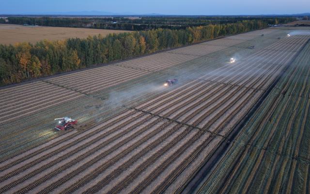(260930) -- HARBIN, Sept. 30, 2026 (Xinhua) -- An aerial drone photo taken on Sept. 29, 2026 shows harvesters working at a rice field of a farm under Beidahuang Group in northeast China's Heilongjiang Province. China's top grain producer Heilongjiang Province is embracing the harvest season. (Photo by Wang Yaguang/Xinhua)