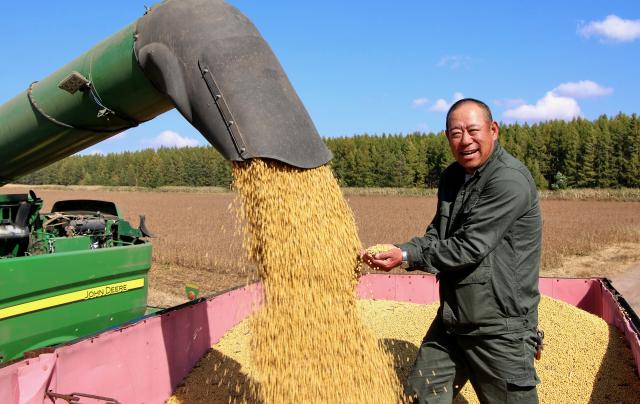 (260930) -- HARBIN, Sept. 30, 2026 (Xinhua) -- A farmer harvests soybeans at a farm under Beidahuang Group in northeast China's Heilongjiang Province, Sept. 28, 2026. China's top grain producer Heilongjiang Province is embracing the harvest season. (Photo by Lu Wenxiang/Xinhua)