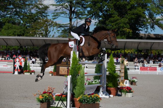 (261001) -- TOKYO, Oct. 1, 2026 (Xinhua) -- Abdulla Almheiri of team the United Arab Emirates competes during the jumping team final of equestrian at the 20th Asian Games Aichi-Nagoya 2026 in Tokyo, Japan, Oct. 1, 2026. (Photo by Wang Shen/Xinhua)