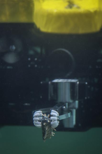 (261001) -- DALIAN, Oct. 1, 2026 (Xinhua) -- This photo taken on Sept. 30, 2026 shows an underwater robot under debugging at Liaoning Underwater Robot Engineering Research Center in Dalian, northeast China's Liaoning Province.
  Liaoning Underwater Robot Engineering Research Center, located at Dalian Maritime University in Dalian, was officially established in November 2020.
  Aligning with major national needs such as the development of marine ranching and marine resources, the center focuses on research of seafood fishing, seabed ecological environment exploration, etc.
  The center has undertaken more than 40 national-level projects and has so far independently developed over ten generations of underwater robot products. Many of its research results have been widely used in fields ranging from seafood fishing, submarine cable inspection to offshore platform dismantling, alongside marine environmental exploration. (Xinhua/Pan Yulong)