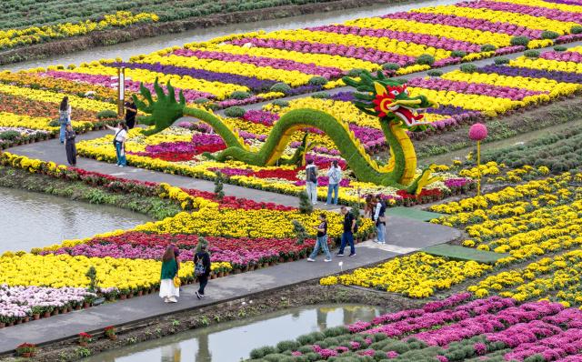 (261001) -- BEIJING, Oct. 1, 2026 (Xinhua) -- A drone photo shows tourists viewing flowers at a scenic area in Xinghua City, east China's Jiangsu Province, Oct. 1, 2026. People across China stepped out to fully enjoy their leisure time during the National Day holiday. (Photo by Zhou Shegen/Xinhua)