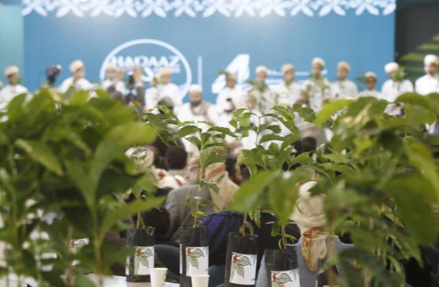 (261001) -- SANAA, Oct. 1, 2026 (Xinhua) -- Coffee plants are seen during an event to mark the International Coffee Day at Haraz Coffee Center in Sanaa, Yemen, Oct. 1, 2026. An event was held in Yemen's capital Sanaa on Thursday to mark International Coffee Day. (Photo by Mohammed Mohammed/Xinhua)