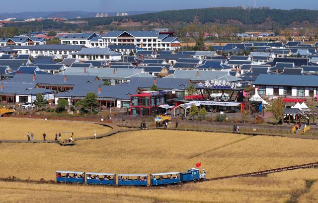 (261003) -- BEIJING, Oct. 3, 2026 (Xinhua) -- A drone photo shows tourists taking a mini train at a rice paddy in Zhongxing Village of Mudanjiang City, northeast China's Heilongjiang Province, Oct. 3, 2026.
  China's cultural and tourism market is thriving during this year's National Day holiday, with a wide range of options including scenic getaways, autumn outings, tourism with revolutionary topics, nighttime entertainment, and cultural tours featuring the country's intangible cultural heritage. (Photo by Gao Fugui/Xinhua)