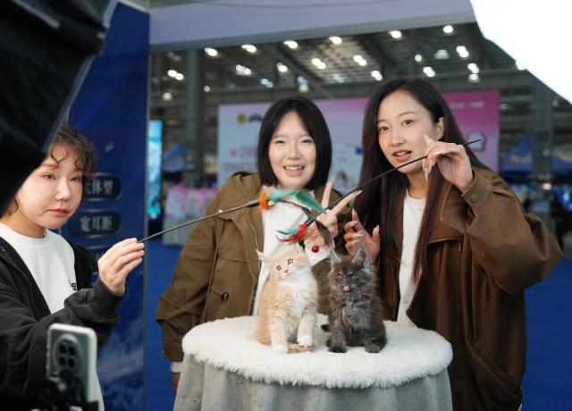 (261003) -- ANSHAN, Oct. 3, 2026 (Xinhua) -- Staff members host a livestream session at the First Pet Source Expo in Anshan, northeast China's Liaoning Province, Oct. 3, 2026.
  The First Pet Source Expo kicked off here on Saturday. Anshan, a traditional steel city, is showing a new charm with its distinctive pet industrial cluster. (Xinhua/Li Gang)