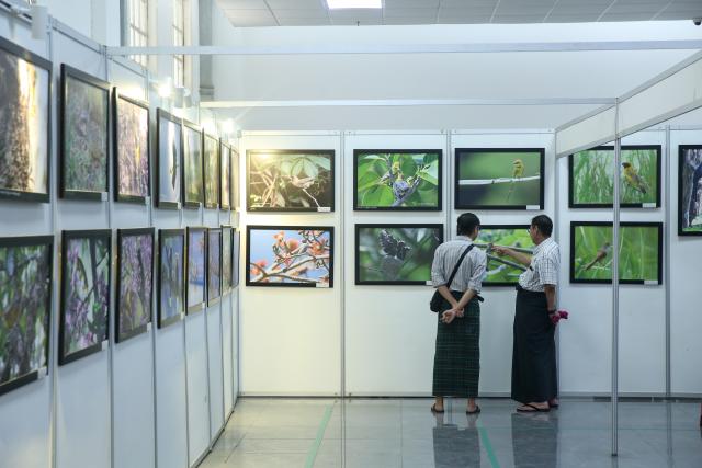 (261003) -- YANGON, Oct. 3, 2026 (Xinhua) -- People visit a photo exhibition marking World Migratory Bird Day in Yangon, Myanmar, Oct. 3, 2026.
  TO GO WITH "Roundup: Myanmar experts stress ecosystem conservation for migratory bird habitats, flyways" (Xinhua/Myo Kyaw Soe)