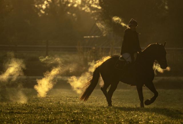 (261004) -- ENSCHEDE, Oct. 4, 2026 (Xinhua) -- A participant warms up before the cross-country phase of the 55th Military Boekelo-Enschede in village Boekelo of Enschede, the Netherlands, Oct. 3, 2026. Military Boekelo-Enschede is a major international equestrian event held annually in Boekelo in the eastern Netherlands since 1971. The FEI four-star long-format eventing competition combines three disciplines: dressage, cross-country and show jumping. (Photo by Eric Brinkhorst/Xinhua)