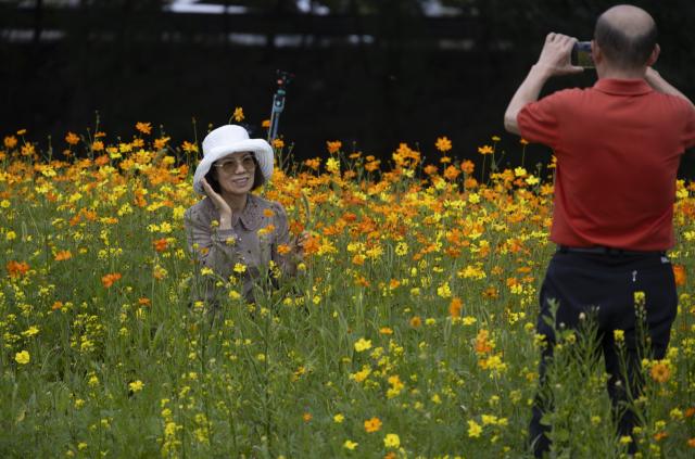 (261004) -- GURI, Oct. 4, 2026 (Xinhua) -- A tourist poses for photos in the flowers in Guri city, Gyeonggi-do province, South Korea, Oct. 4, 2026. (Photo by Jun Hyosang/Xinhua)