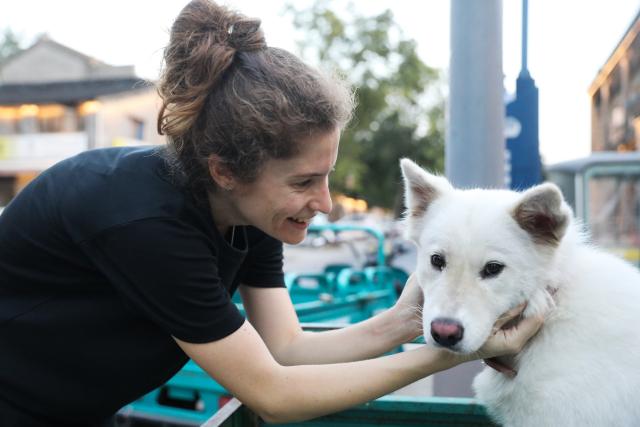 (261004) -- WENXIAN, Oct. 4, 2026 (Xinhua) -- Gilda Fongaro, a Taijiquan enthusiast from Italy, plays with a dog in front of a restaurant in Chenjiagou Village of Wenxian County, central China's Henan Province, Aug. 25, 2026. Social media users in the West have recently embraced "Chinamaxxing," in which young people show interest in aspects of Chinese daily life.
   Taijiquan, a kind of traditional martial arts, was born in the mid-17th century in Chenjiagou Village. Rooted in Chinese philosophy, traditional medicine and martial arts, Taijiquan has evolved into a wide range of styles and is now practiced in more than 180 countries and regions. For foreign visitors, Chenjiagou is naturally one of the best spots to experience the "Chinamaxxing" trend. The small village offers a tranquil and comfortable living environment which lets visitors get away from the busy pace of city life and immerse themselves in traditional Chinese culture. (Photo by Xu Hongxing/Xinhua)