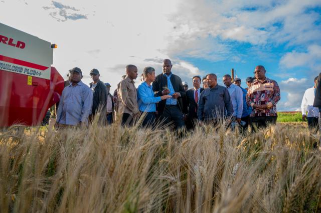 (261004) -- MAPUTO, Oct. 4, 2026 (Xinhua) -- Mozambican President Daniel Chapo (C, front) is briefed on the wheat cultivation during a wheat harvesting ceremony at the Wanbao rice farm in the southern province of Gaza, Mozambique, Oct. 3, 2026. Chapo has called for stronger agricultural cooperation between Mozambique and China and expressed hope that the cooperation model of the Chinese-invested Wanbao rice farm could be expanded to other parts of the country.
  Chapo made the remarks Saturday while attending the ceremony at the farm. (Photo by Mendes Mondlane/Xinhua)