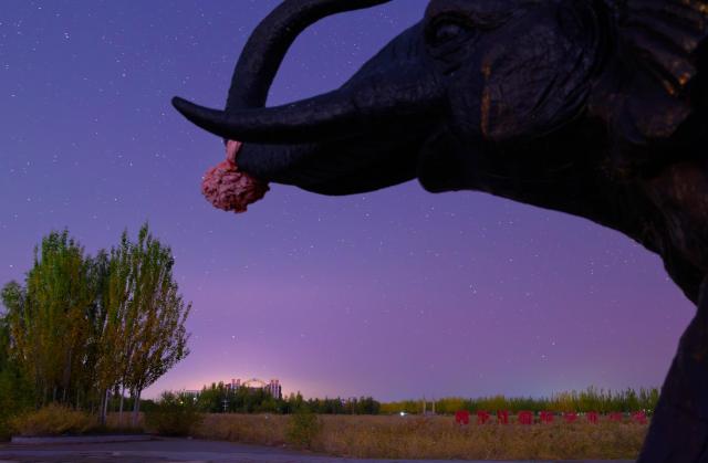 (261005) -- HARBIN, Oct. 5, 2026 (Xinhua) -- This photo taken on Oct. 4, 2026 shows the aurora observed from Daqing City, northeast China's Heilongjiang Province. (Photo by Liu Chengshan/Xinhua)
