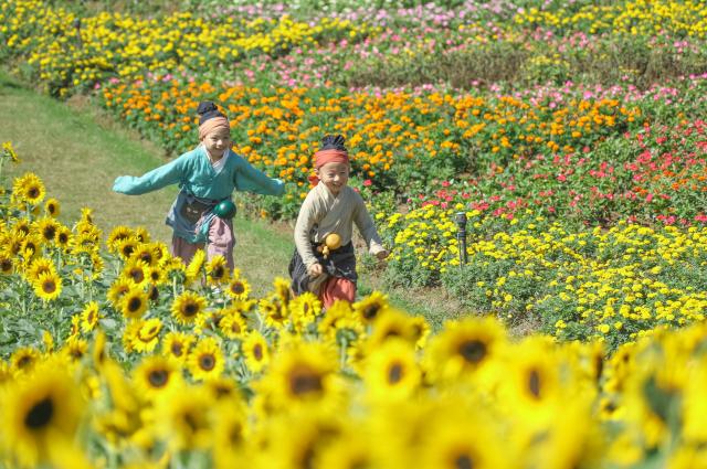 (261005) -- BEIJING, Oct. 5, 2026 (Xinhua) -- Children run amid flowers in Longshanhu Village, Baitu Town of Jurong City, east China's Jiangsu Province, Oct. 5, 2026. Large numbers of visitors have flocked to rural areas across China during the National Day holiday. (Photo by Zhong Xueman/Xinhua)