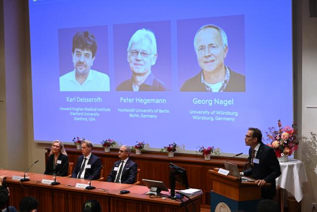 (261005) -- STOCKHOLM, Oct. 5, 2026 (Xinhua) -- The 2026 Nobel Prize in Physiology or Medicine is announced in Stockholm, Sweden, Oct. 5, 2026. Karl Deisseroth, Peter Hegemann and Georg Nagel were awarded the 2026 Nobel Prize in Physiology or Medicine on Monday for their discoveries concerning light-gated ion channels and optogenetics, the Nobel Assembly at Sweden's Karolinska Institute announced. (Xinhua/Lyu You)