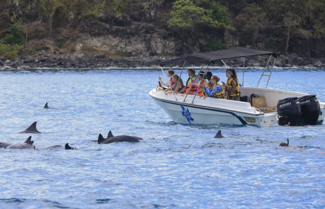 (261006) -- PORT LOUIS, Oct. 6, 2026 (Xinhua) -- People take a boat trip to watch dolphins in the waters off Black River District, Mauritius, Oct. 3, 2026. (Xinhua/Chen Wei)