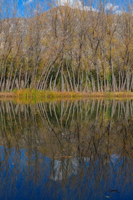 (261006) -- LHASA, Oct. 6, 2026 (Xinhua) -- This photo taken on Oct. 6, 2026 shows a view of the Lhalu wetland in Lhasa, southwest China's Xizang Autonomous Region. Lhalu Wetland National Nature Reserve, known as "the Lung of Lhasa", features a vibrant and thriving ecological landscape in autumn. (Xinhua/Tenzing Nima Qadhup)