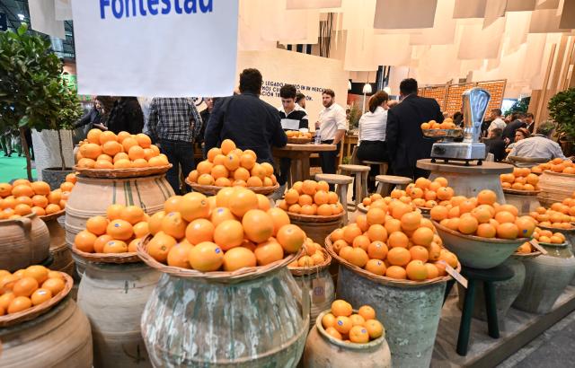 (261006) -- MADRID, Oct. 6, 2026 (Xinhua) -- People gather at the IFEMA Madrid convention center for commercial negotiations at Fruit Attraction in Madrid, Spain, Oct. 6, 2026. Fruit Attraction is scheduled to take place from Oct. 6 to Oct. 8 in Madrid. (Xinhua/Cheng Min)