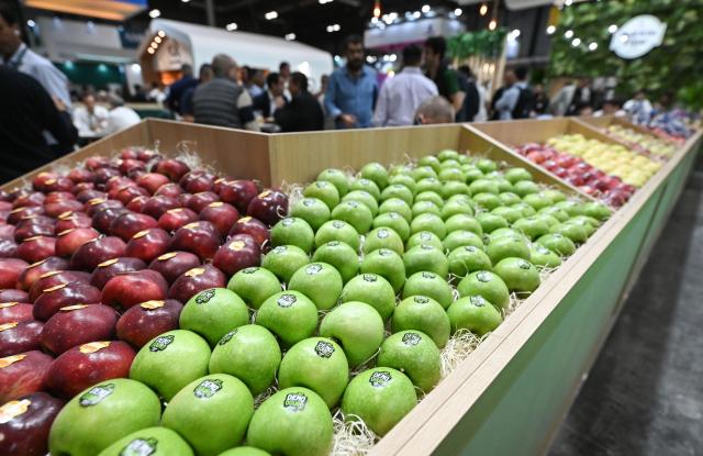 (261006) -- MADRID, Oct. 6, 2026 (Xinhua) -- Fruits are displayed at Fruit Attraction in Madrid, Spain, Oct. 6, 2026. Fruit Attraction is scheduled to take place from Oct. 6 to Oct. 8 in Madrid. (Xinhua/Cheng Min)