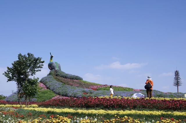 (261007) -- BEIJING, Oct. 7, 2026 (Xinhua) -- Tourists view flowers at a scenic area in Kunming, southwest China's Yunnan Province, Oct. 7, 2026. People across the country enjoy themselves through various cultural and tourism activities and events during the National Day holiday. (Photo by Liang Zhiqiang/Xinhua)