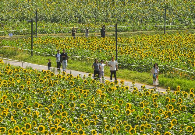 (261007) -- BEIJING, Oct. 7, 2026 (Xinhua) -- People enjoy their leisure time at the Yiwu Botanic Garden in Yiwu City, east China's Zhejiang Province, Oct. 7, 2026. People across the country enjoy themselves through various cultural and tourism activities and events during the National Day holiday. (Photo by Shi Kuanbing/Xinhua)