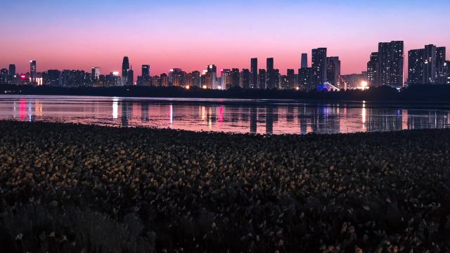 (261008) -- WUHAN, Oct. 8, 2026 (Xinhua) -- This photo taken with a mobile phone on Oct. 5, 2026 shows the East Lake at sunset in Wuhan, central China's Hubei Province. (Xinhua/Shen Hongbing)