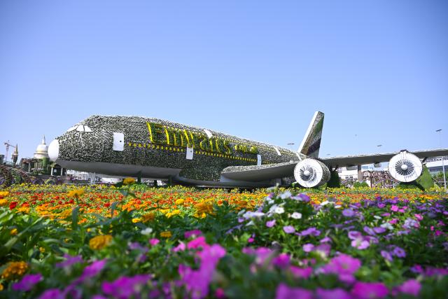 (261008) -- DUBAI, Oct. 8, 2026 (Xinhua) -- This photo taken on Oct. 8, 2026 shows a flower-decorated aircraft model at Dubai Miracle Garden in Dubai, the United Arab Emirates. Dubai Miracle Garden opened Thursday to the public for its 15th season. Featuring colorful floral displays and large-scale installations, the garden is a popular tourist attraction in Dubai. (Xinhua/Wang Zecong)