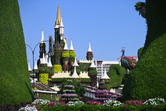 (261008) -- DUBAI, Oct. 8, 2026 (Xinhua) -- This photo taken on Oct. 8, 2026 shows a view of Dubai Miracle Garden in Dubai, the United Arab Emirates. Dubai Miracle Garden opened Thursday to the public for its 15th season. Featuring colorful floral displays and large-scale installations, the garden is a popular tourist attraction in Dubai. (Xinhua/Wang Zecong)