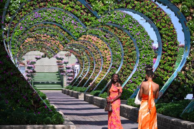 (261008) -- DUBAI, Oct. 8, 2026 (Xinhua) -- A tourist poses for photos at Dubai Miracle Garden in Dubai, the United Arab Emirates, Oct. 8, 2026. Dubai Miracle Garden opened Thursday to the public for its 15th season. Featuring colorful floral displays and large-scale installations, the garden is a popular tourist attraction in Dubai. (Xinhua/Wang Zecong)