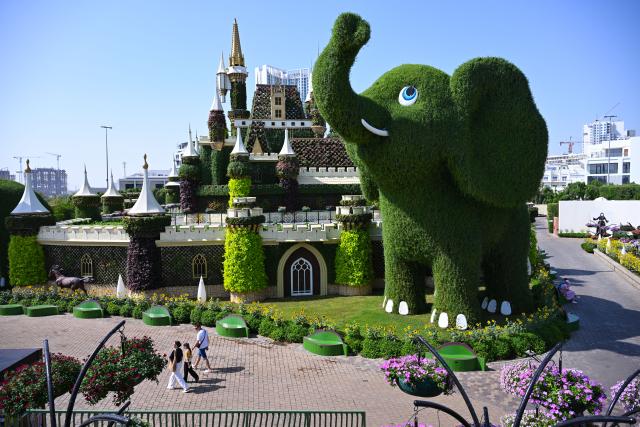(261008) -- DUBAI, Oct. 8, 2026 (Xinhua) -- People visit Dubai Miracle Garden in Dubai, the United Arab Emirates, Oct. 8, 2026. Dubai Miracle Garden opened Thursday to the public for its 15th season. Featuring colorful floral displays and large-scale installations, the garden is a popular tourist attraction in Dubai. (Xinhua/Wang Zecong)