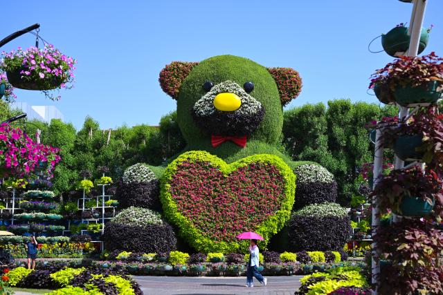 (261008) -- DUBAI, Oct. 8, 2026 (Xinhua) -- People visit Dubai Miracle Garden in Dubai, the United Arab Emirates, Oct. 8, 2026. Dubai Miracle Garden opened Thursday to the public for its 15th season. Featuring colorful floral displays and large-scale installations, the garden is a popular tourist attraction in Dubai. (Xinhua/Wang Zecong)