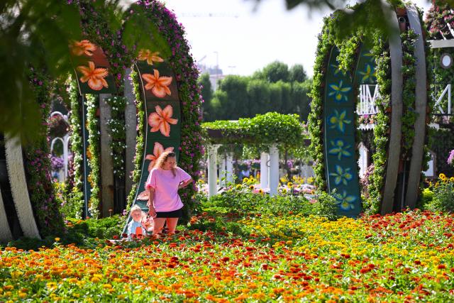 (261008) -- DUBAI, Oct. 8, 2026 (Xinhua) -- People visit Dubai Miracle Garden in Dubai, the United Arab Emirates, Oct. 8, 2026. Dubai Miracle Garden opened Thursday to the public for its 15th season. Featuring colorful floral displays and large-scale installations, the garden is a popular tourist attraction in Dubai. (Xinhua/Wang Zecong)