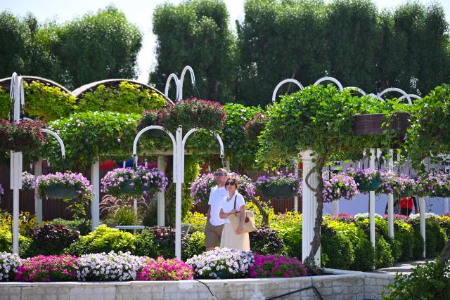 (261008) -- DUBAI, Oct. 8, 2026 (Xinhua) -- People visit Dubai Miracle Garden in Dubai, the United Arab Emirates, Oct. 8, 2026. Dubai Miracle Garden opened Thursday to the public for its 15th season. Featuring colorful floral displays and large-scale installations, the garden is a popular tourist attraction in Dubai. (Xinhua/Wang Zecong)