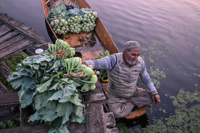 (261008) -- SRINAGAR, Oct. 8, 2026 (Xinhua) -- A vegetable vendor sells vegetables from a boat in the early morning on a floating vegetable market at Dal Lake in Srinagar, the summer capital of Indian-controlled Kashmir, Oct. 8, 2026. (Xinhua/Javed Dar)