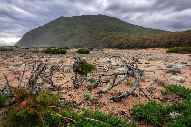 (261009) -- VLADIVOSTOK, Oct. 9, 2026 (Xinhua) -- This photo taken on Oct. 5, 2026 shows a view of the Lazovsky State Nature Reserve in the Russian Far East. The Lazovsky State Nature Reserve boasts a rich diversity of flora and fauna, and serves as one of the primary habitats for tigers in Russia. (Photo by Andrey Matveenko/Xinhua)