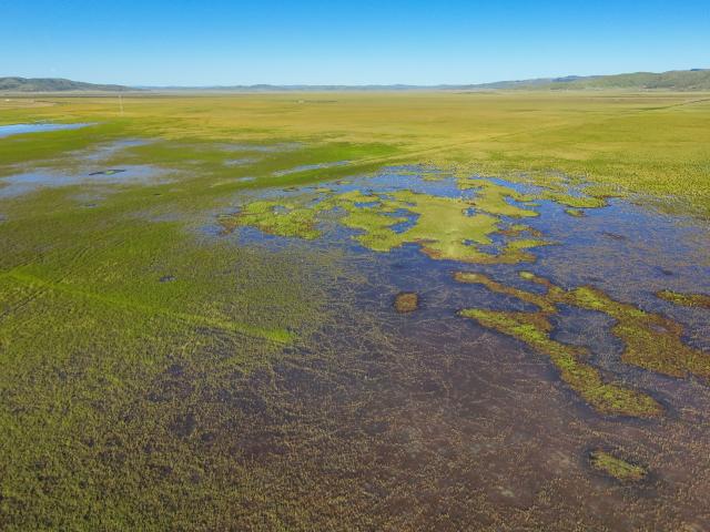 (261009) -- CHENGDU, Oct. 9, 2026 (Xinhua) -- An aerial drone photo taken on Aug. 13, 2026 shows a wetland in Hongyuan County of Aba Tibetan and Qiang Autonomous Prefecture, southwest China's Sichuan Province. The year 2026 marks the 90th anniversary of the victory of the Long March. Sichuan became closely tied to the Red Army's activities from 1935 to 1936. During the Long March, the Red Army crossed the Jinsha River, formed the Yihai Alliance, fought their way across the Dadu River, seized the Luding Bridge, scaled snow-capped mountains and traversed grasslands, and continued their march northward to victory. (Xinhua/Wang Xi)