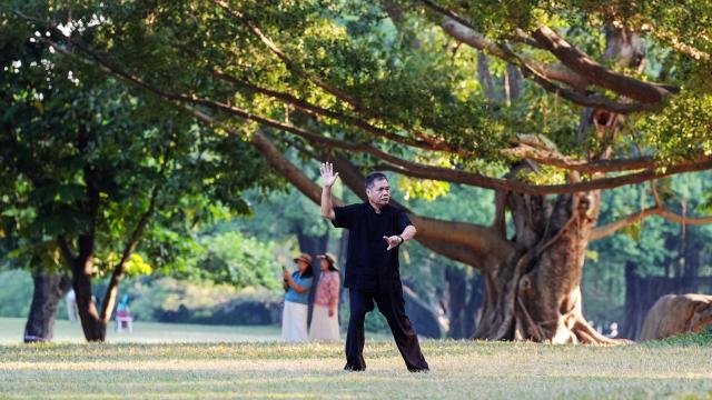 (261009) -- NANNING, Oct. 9, 2026 (Xinhua) -- A man practices Taijiquan at Nanhu Park in Nanning, south China's Guangxi Zhuang Autonomous Region, Oct. 9, 2026. Located in the very heart of Nanning, Nanhu Park is widely known as the city's "green lung." Locals jog along the lakeside, stride on the promenades, and practice Taijiquan in the shade of ancient trees, fully immersing in the simple pleasure of outdoor exercises. (Xinhua/Zhang Ailin)