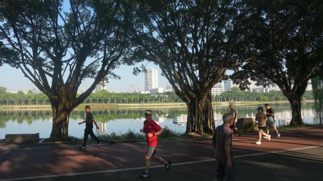 (261009) -- NANNING, Oct. 9, 2026 (Xinhua) -- Citizens jog along the lakeside at Nanhu Park in Nanning, south China's Guangxi Zhuang Autonomous Region, Oct. 9, 2026. Located in the very heart of Nanning, Nanhu Park is widely known as the city's "green lung." Locals jog along the lakeside, stride on the promenades, and practice Taijiquan in the shade of ancient trees, fully immersing in the simple pleasure of outdoor exercises. (Xinhua/Zhang Ailin)