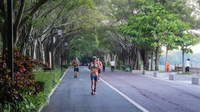 (261009) -- NANNING, Oct. 9, 2026 (Xinhua) -- Citizens jog at Nanhu Park in Nanning, south China's Guangxi Zhuang Autonomous Region, Oct. 9, 2026. Located in the very heart of Nanning, Nanhu Park is widely known as the city's "green lung." Locals jog along the lakeside, stride on the promenades, and practice Taijiquan in the shade of ancient trees, fully immersing in the simple pleasure of outdoor exercises. (Xinhua/Zhang Ailin)