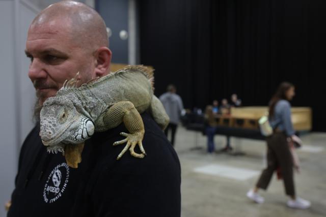 (261009) -- LJUBLJANA, Oct. 9, 2026 (Xinhua) -- An iguana rests on an exhibitor's shoulder during the 32nd Bioexo Exotic Animals Exhibition in Ljubljana, Slovenia, Oct. 9, 2026. (Photo by Zeljko Stevanic/Xinhua)