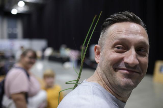 (261009) -- LJUBLJANA, Oct. 9, 2026 (Xinhua) -- A stick insect climbs onto an exhibitor's back during the 32nd Bioexo Exotic Animals Exhibition in Ljubljana, Slovenia, Oct. 9, 2026. (Photo by Zeljko Stevanic/Xinhua)